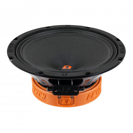 DL Audio Raven 200 v2 (20см RMS-125Вт/4Ом)