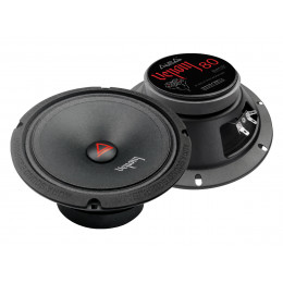 Aura VENOM-80  (RMS-121w 20см)